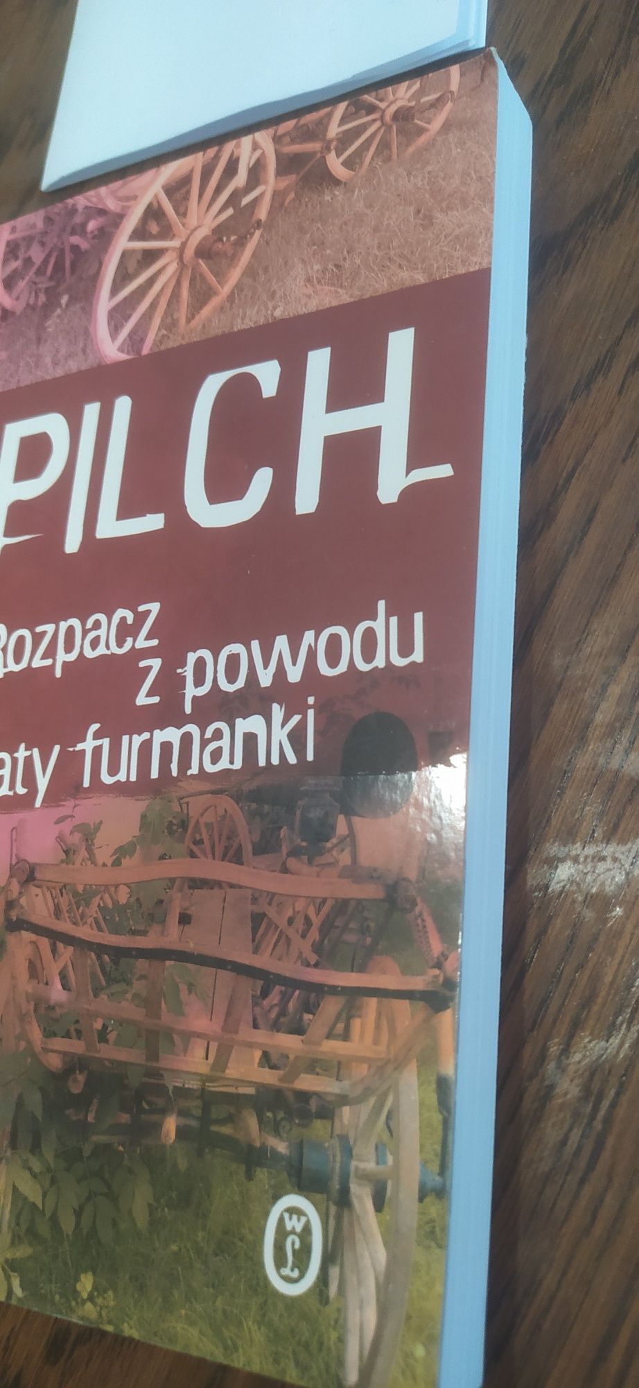 Jerzy Pilch Rozpacz z powodu utraty furmanki