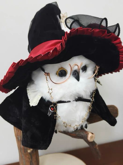 Сова Harry Potter разом з одягом