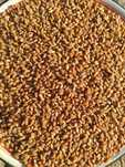 Продам зерно: пшеницу, кукурузу, овес, ячмень., отруби, зернотходы.