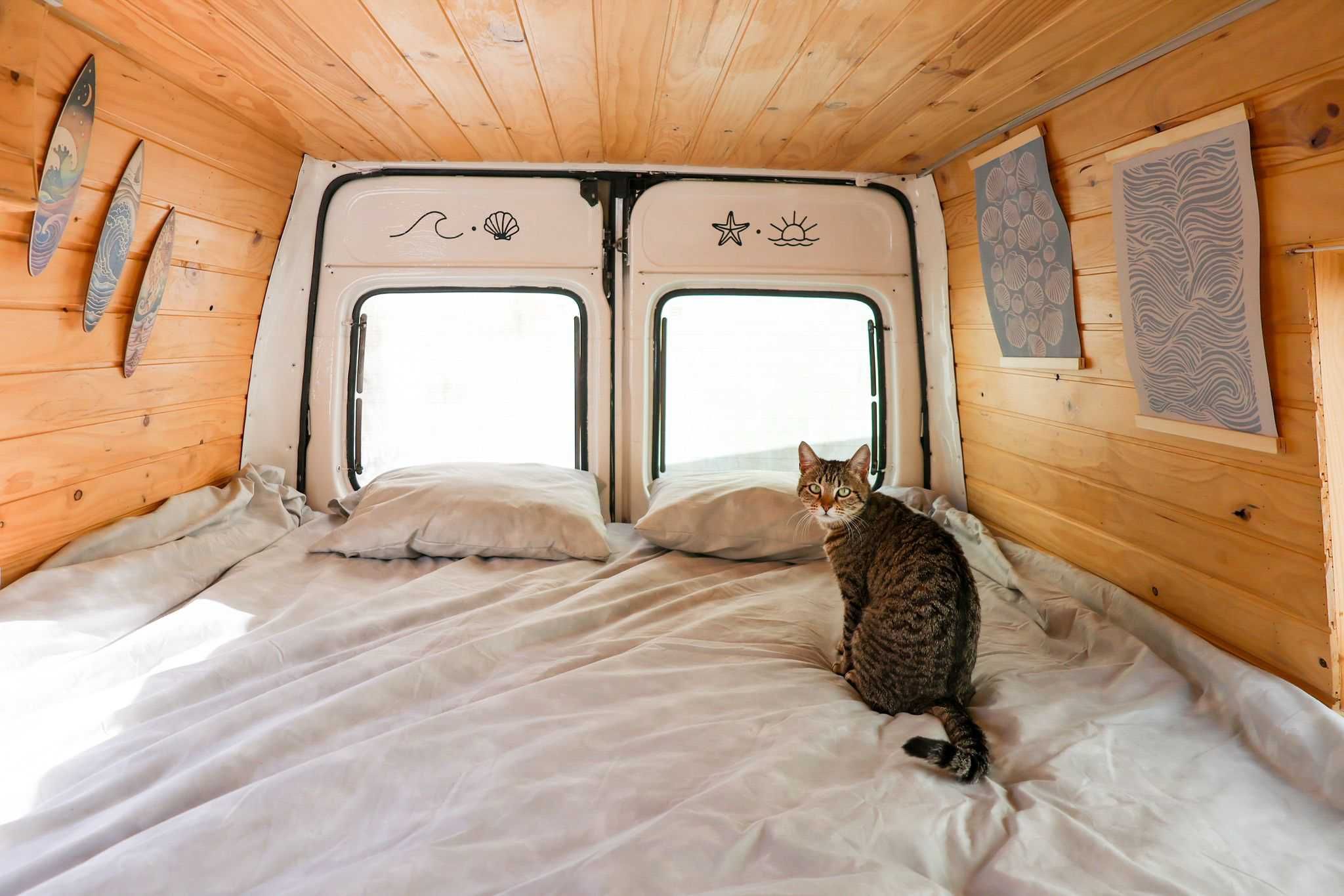 Campervan Ford Transit