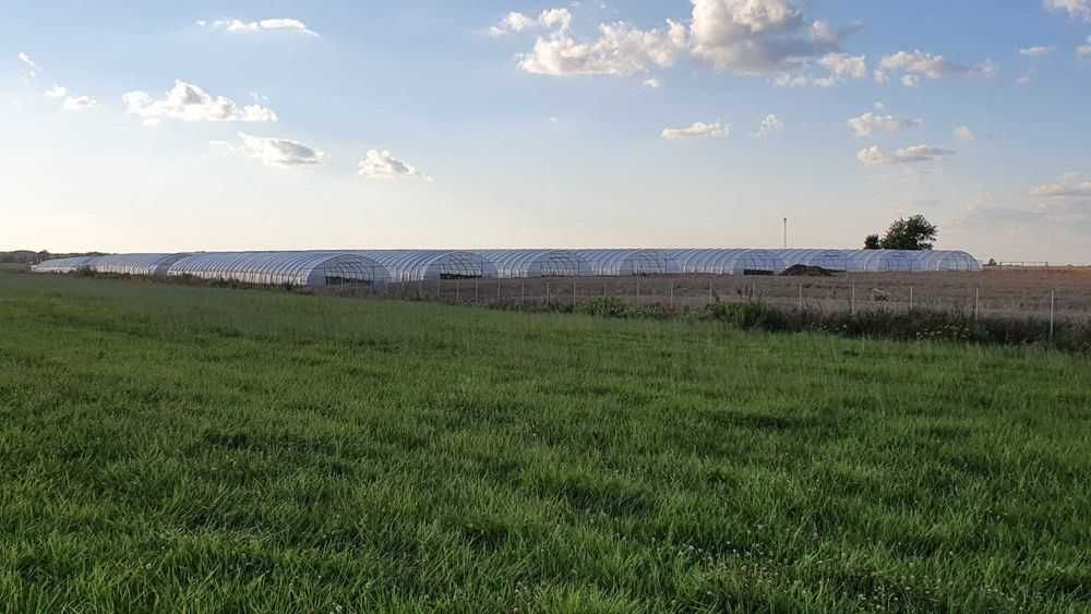 Ocynkowana konstrukcja tunelu foliowego 7,5x30x3m używana