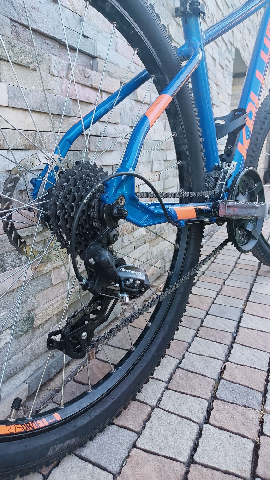 Kelly's Spider 30