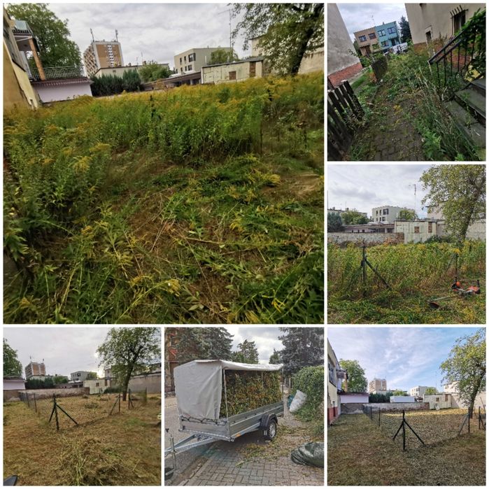 Usługi glebogryzarką, wertykulacja trawnika, koszenie trawy i inne