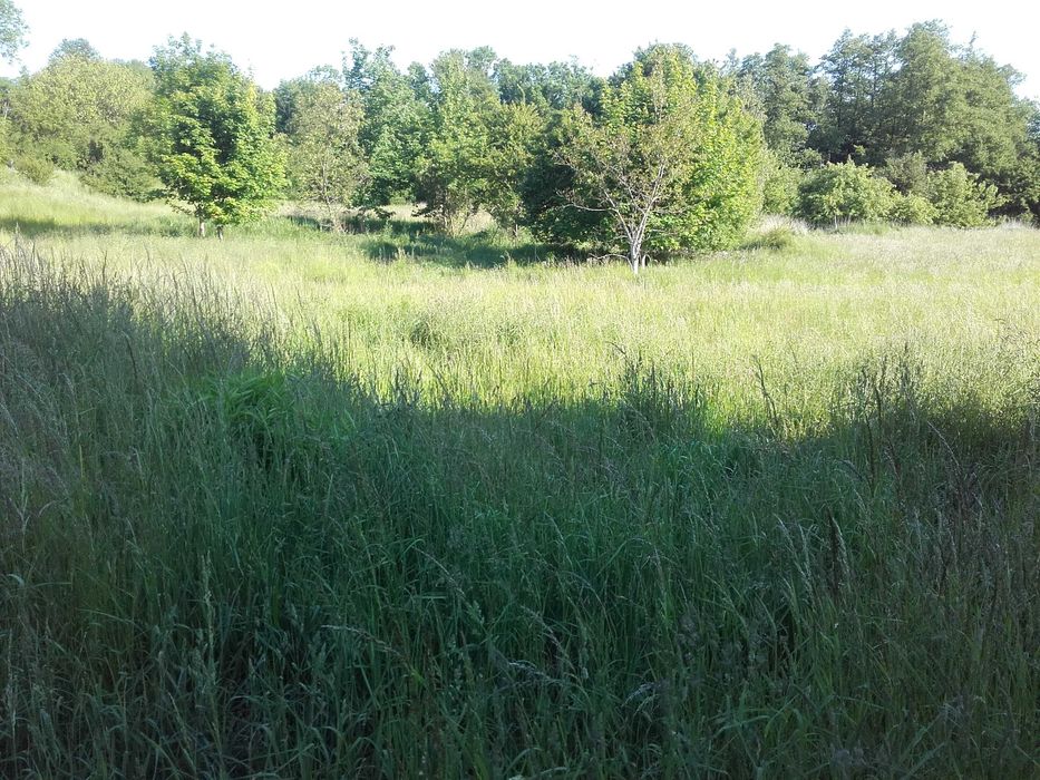 Śliczna działka w Słupcy otoczona łąkami 14 arów.