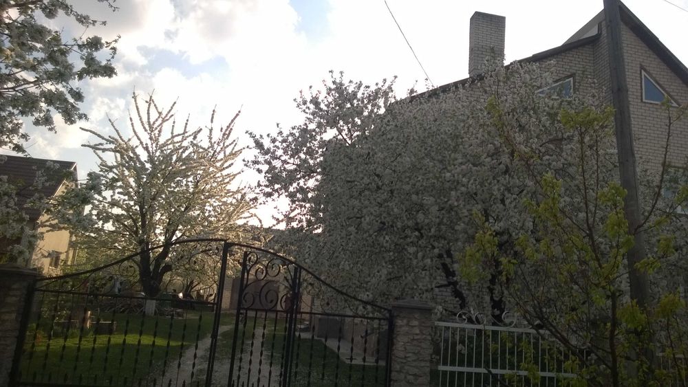 Продаю будинок   .