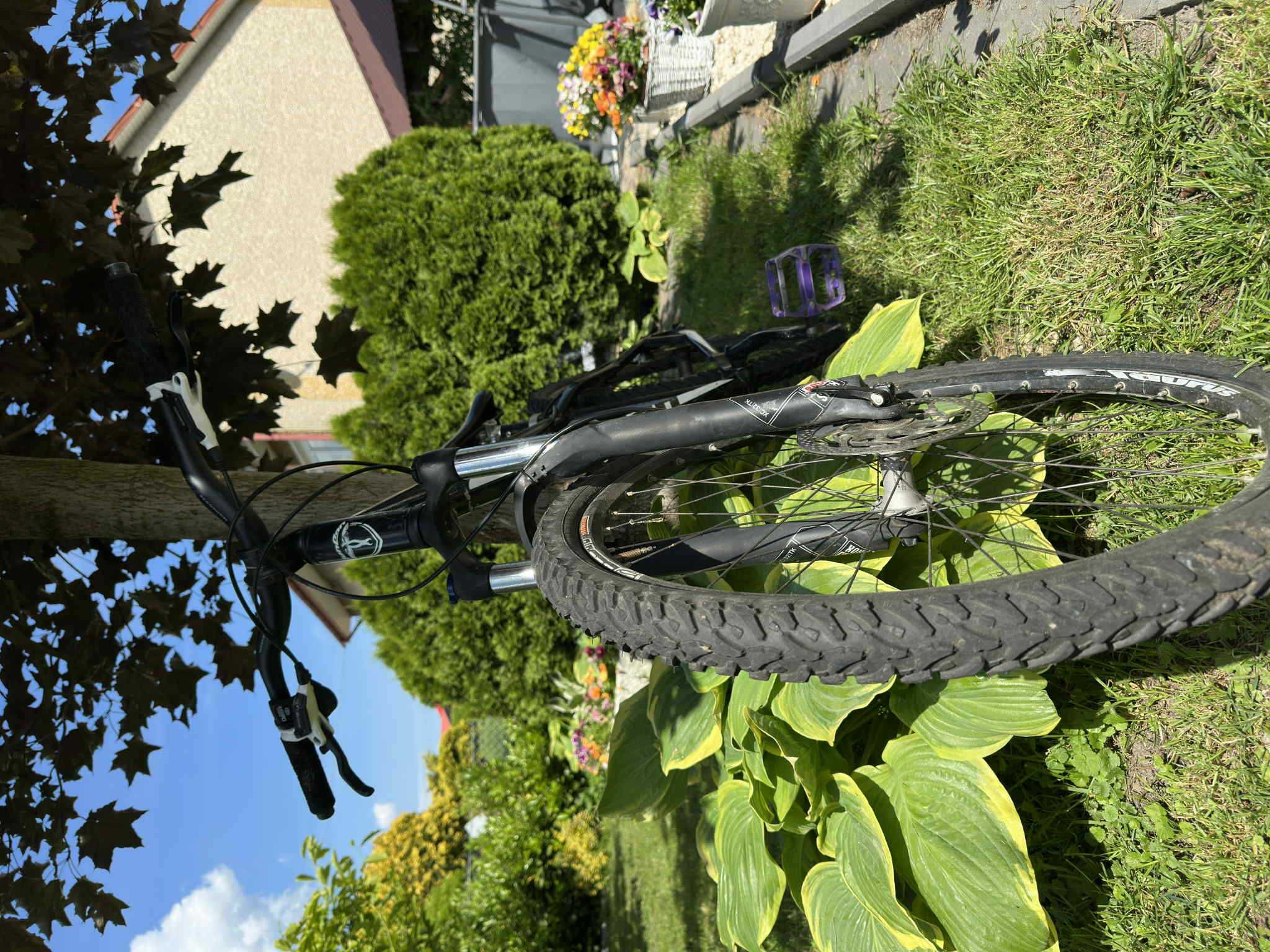 rower dirt (opis)