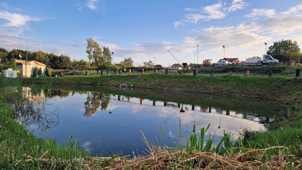 Ryby Karaś,Tołpyga,Pstrąg,Karp,Jesiotr,Sum,Sandacz,Szczupak,Węgorz