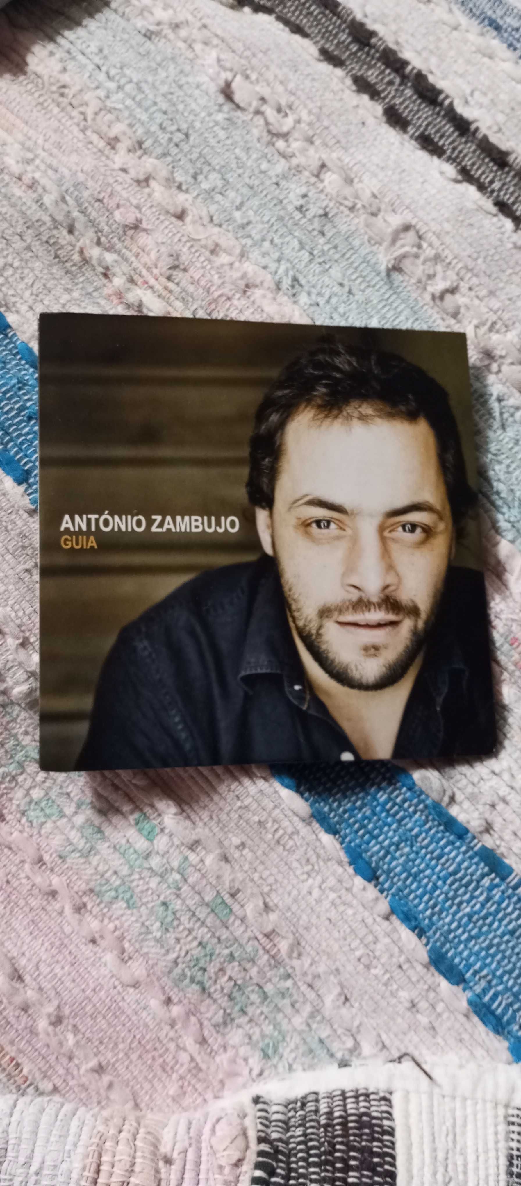 Coletânea António Zambujo