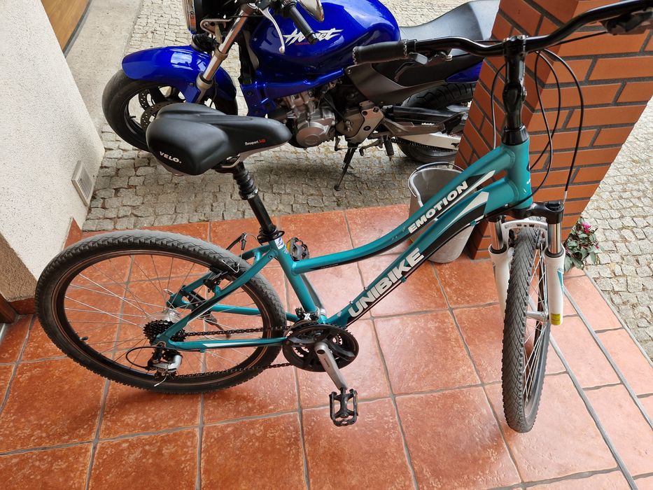 Rower unibike emotion