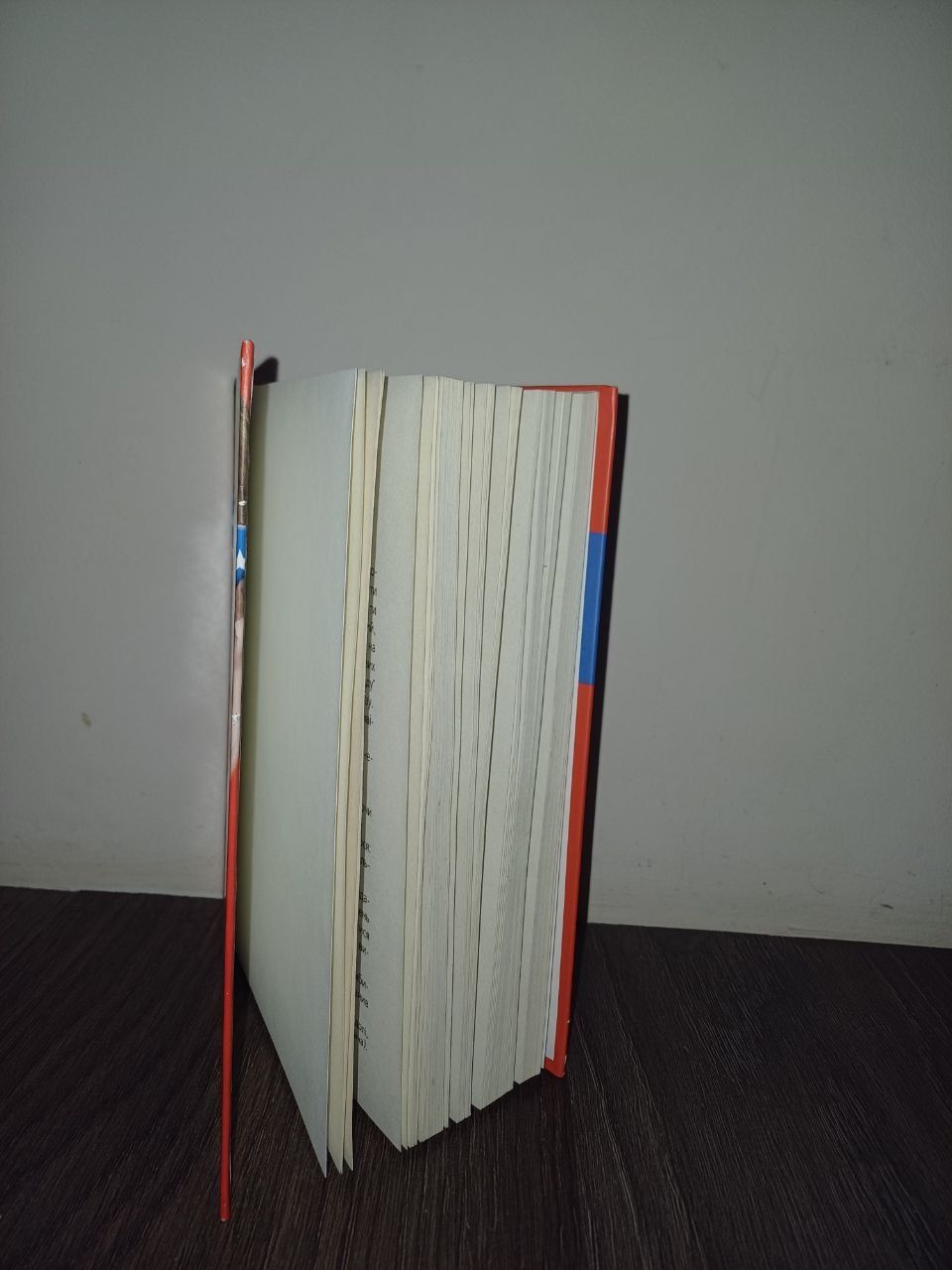 Дівчина-ґік. Книга 3. Міс досконалість.