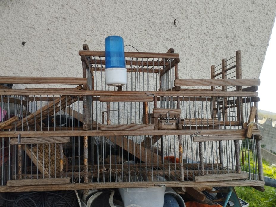 Alçapões normais e automáticos