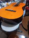 Viola com cordas