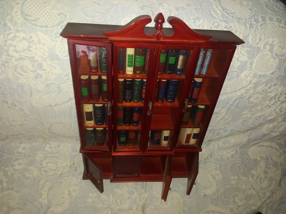 Biblioteca miniatura