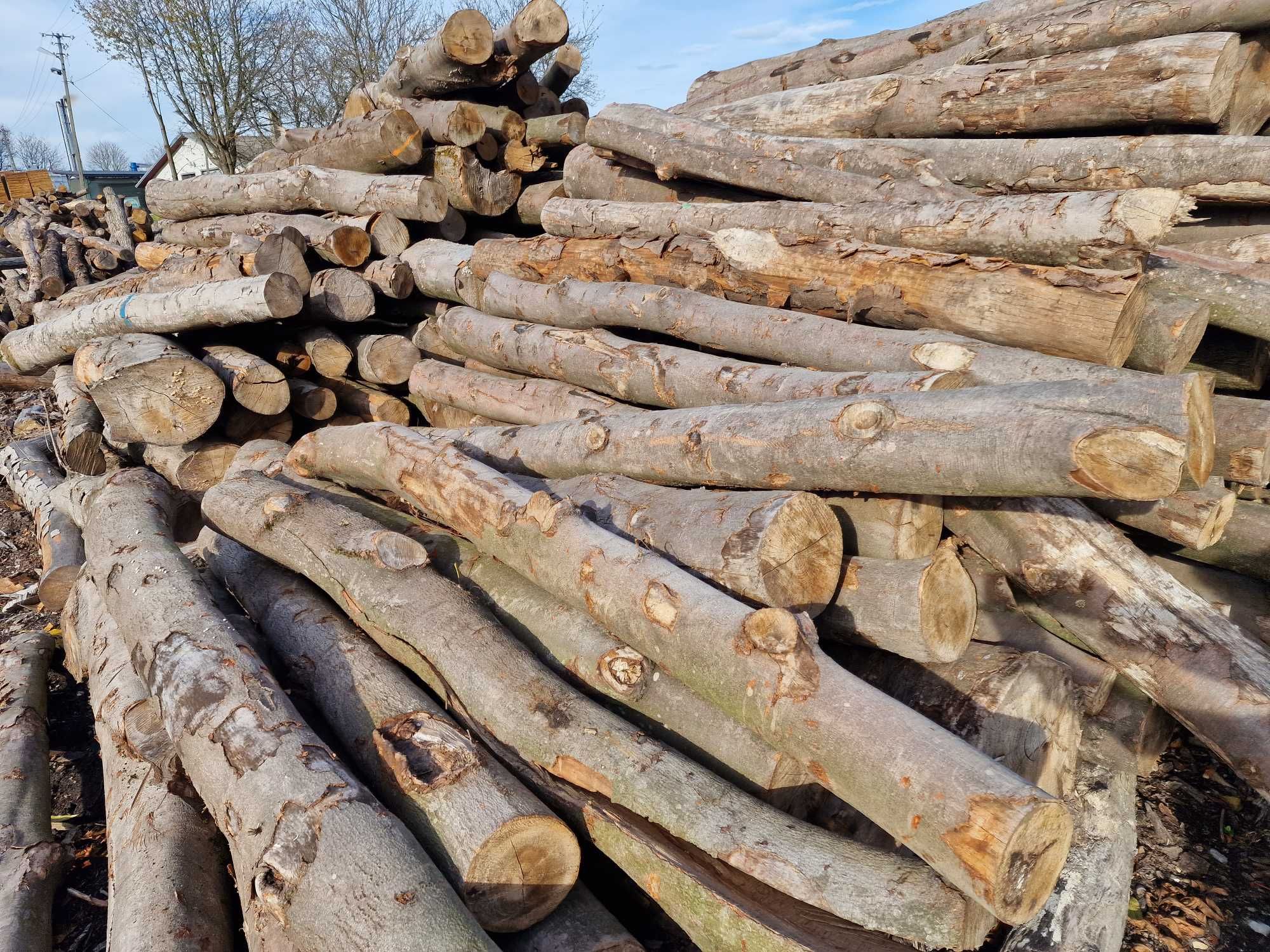 Drewno opałowe BUKOWE drzewo opał metry buk wałki - PROMOCJA 10%!