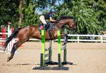 Klacz do wprowadzenia w sport
