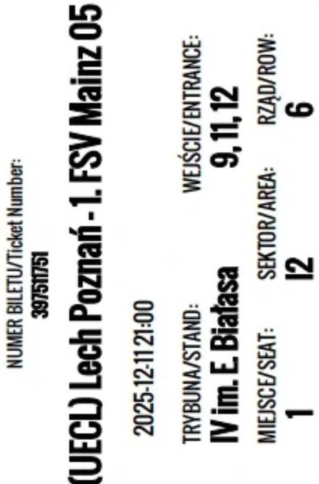 Lech Poznań - 1. FSV Mainz 05