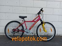 Велосипед подростковый Bergamont 24