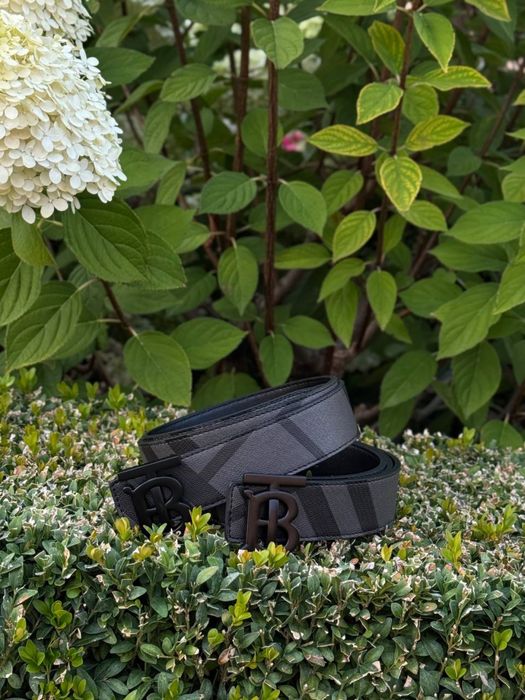 Ремінь Burberry чоловічий пасок шкіряний Барбері чорний ремень Барбери