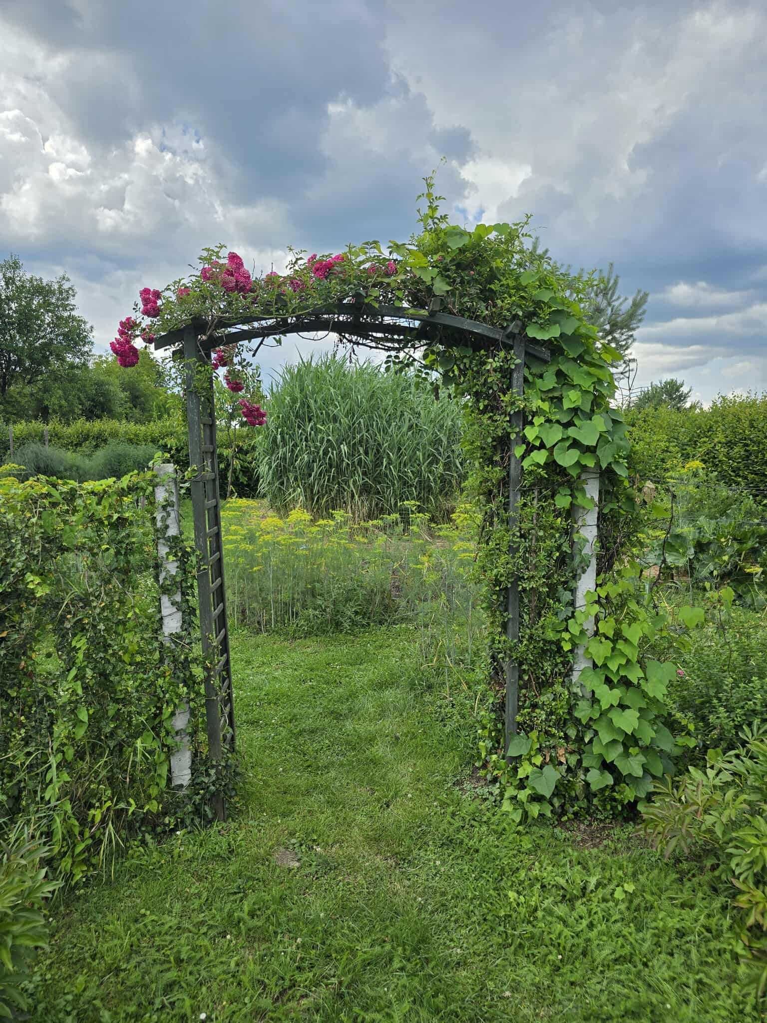 Dom na pięknej działce, 170 m od rzeki, 5 min od Zamku w Krasiczynie