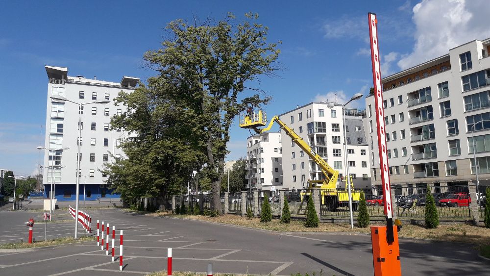 Wycinka drzew, zrębkowanie gałęzi, Profesjonalnie Legionowo, Nieporęt