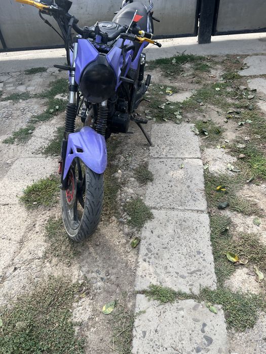 продам мустанга на ходу