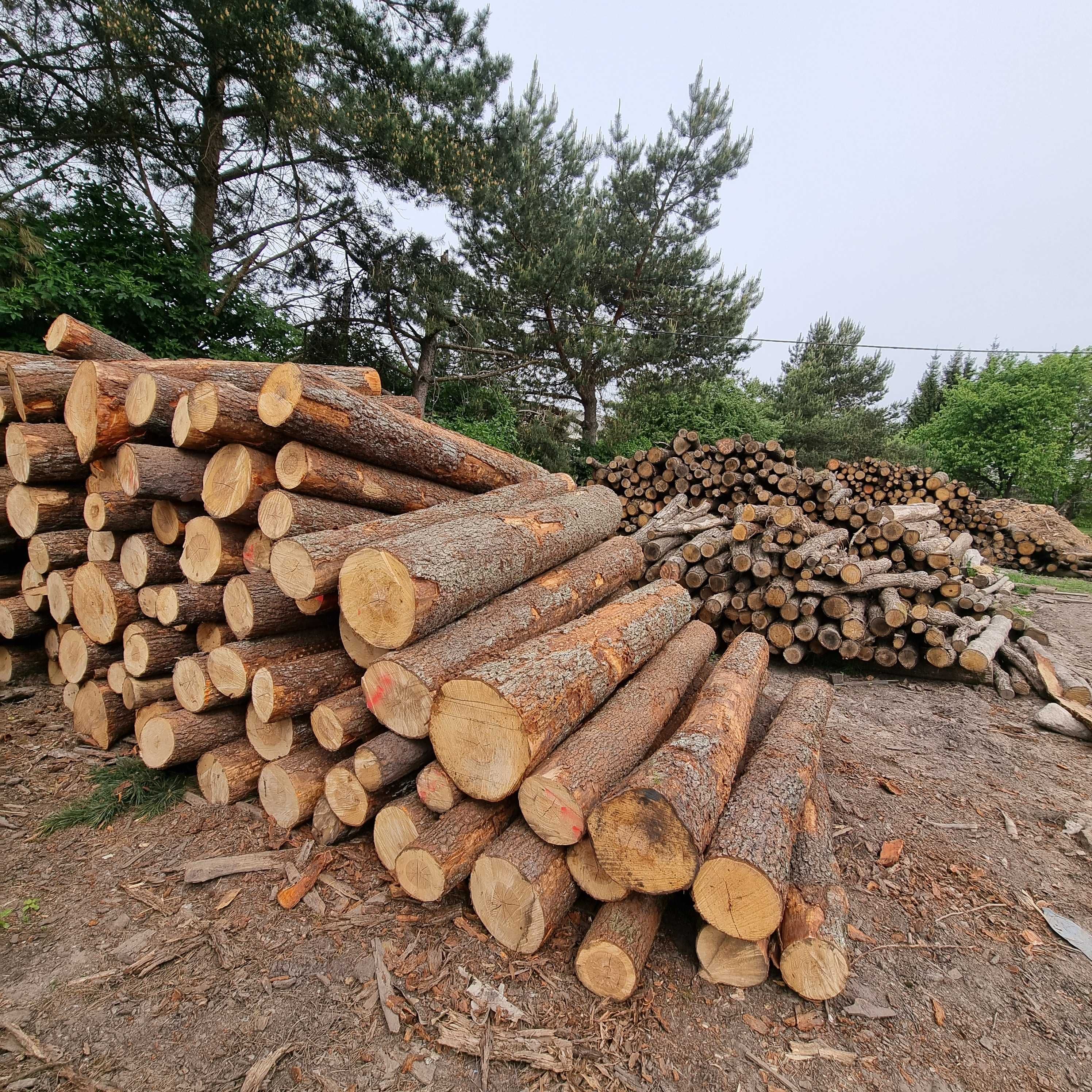 Drewno opałowe Wasilków