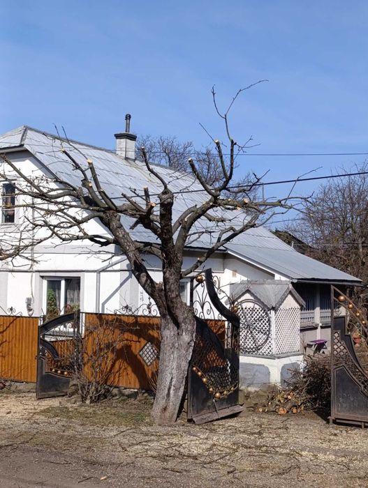 Чистка Участков Обрезка Деревьев Черновцы