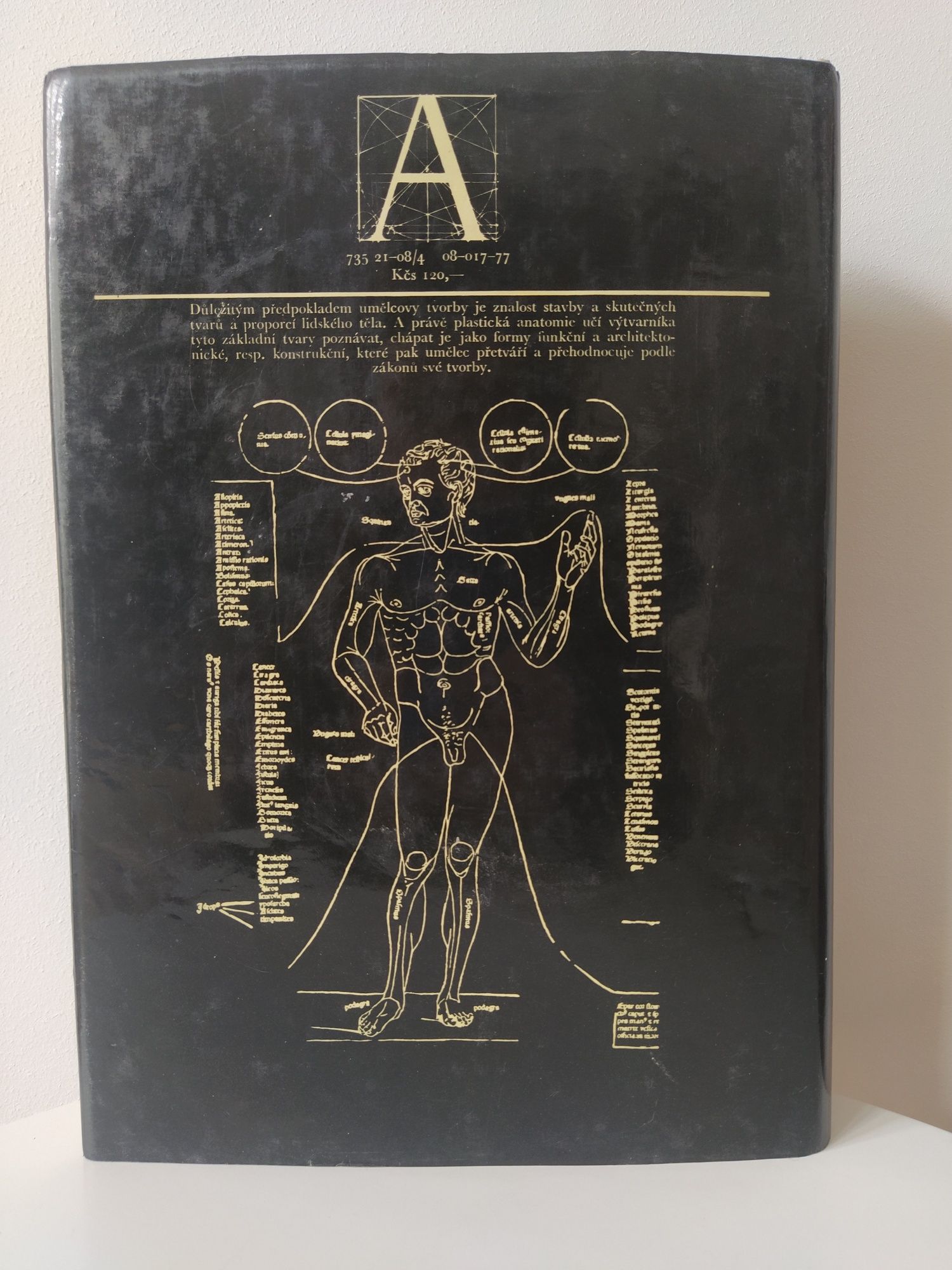 Anatomie pro výtvarníky, Zrzavý Josef; anatomia dla artystów