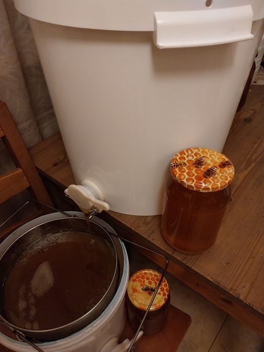 miód LIPOWY z 19.07.2025r. Pyszny