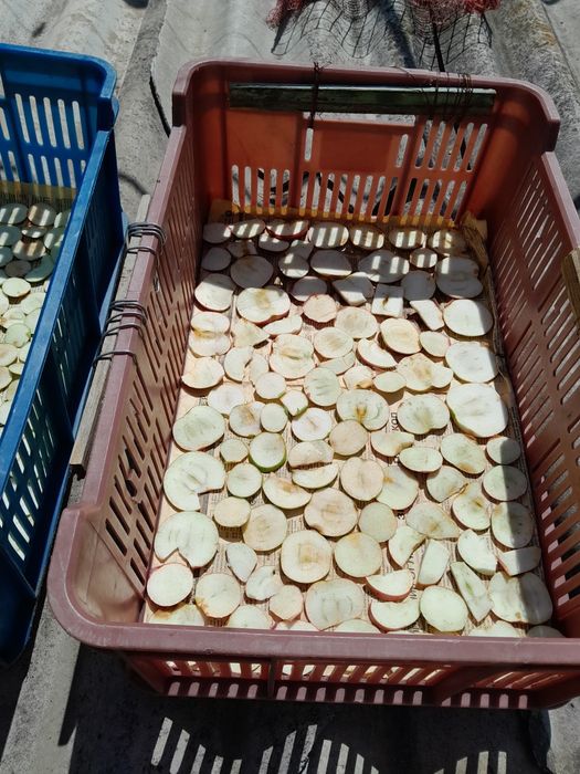 Сушка з яблука..