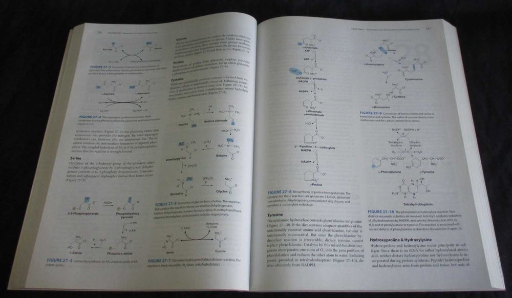 Livro Harper's Illustrated Biochemistry 28th Edition