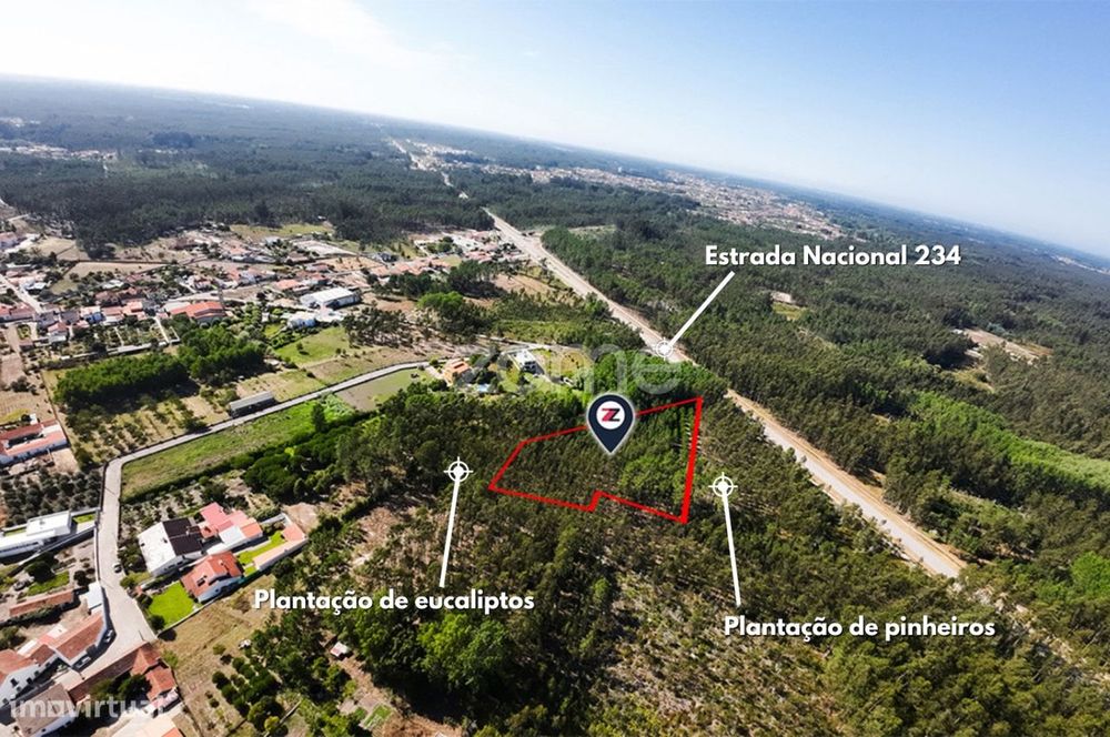 Terreno | 4.160m2 | Cantanhede | Oportunidade |