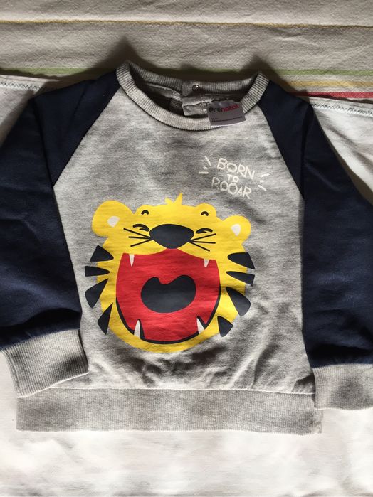 Conjunto de fato treino Pré Natal