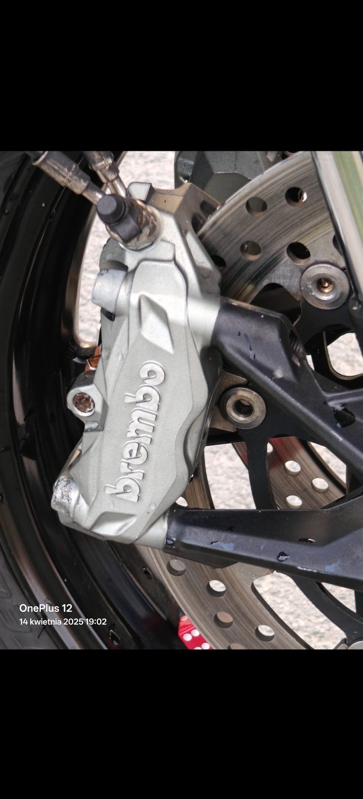 Ducati Monster 821