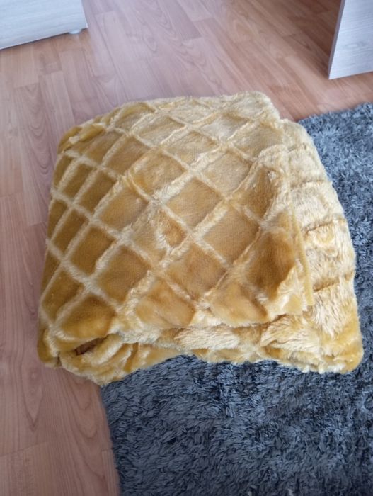 Koce w kolorze miodowym