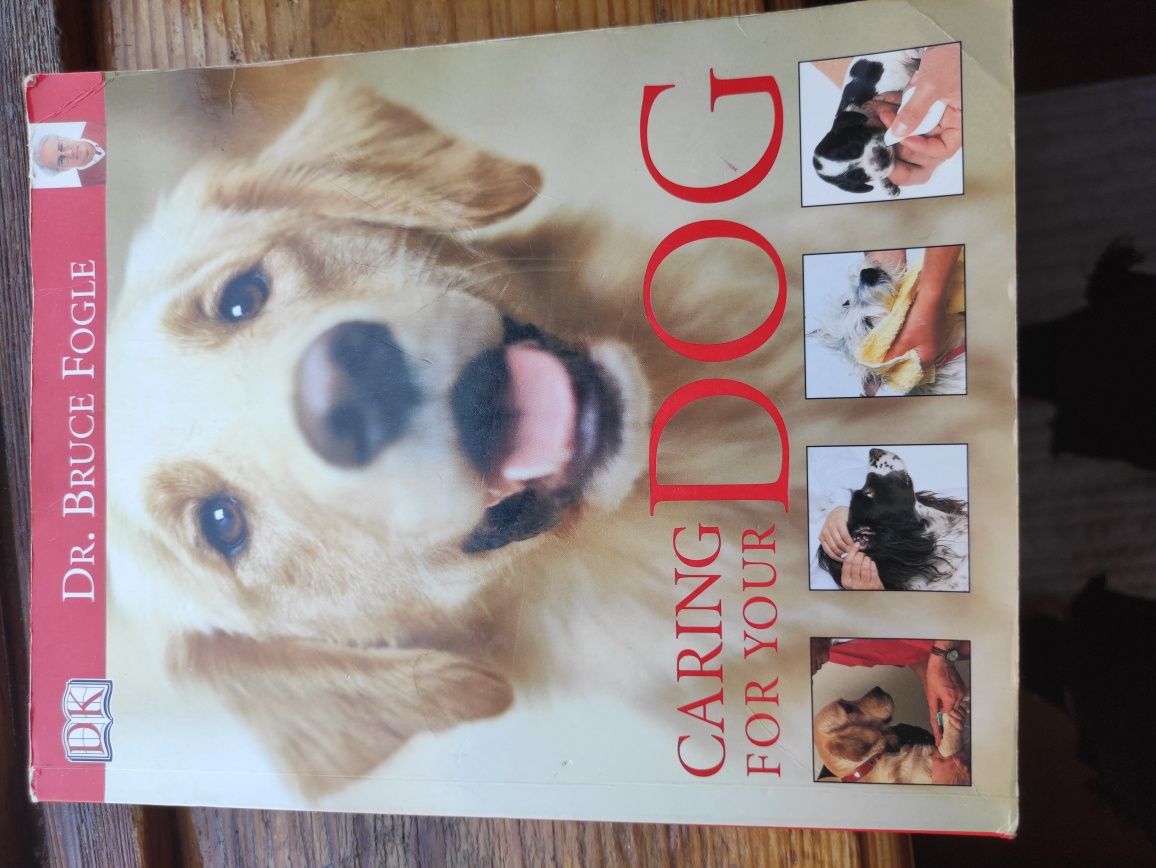 Книга о собаках на английском