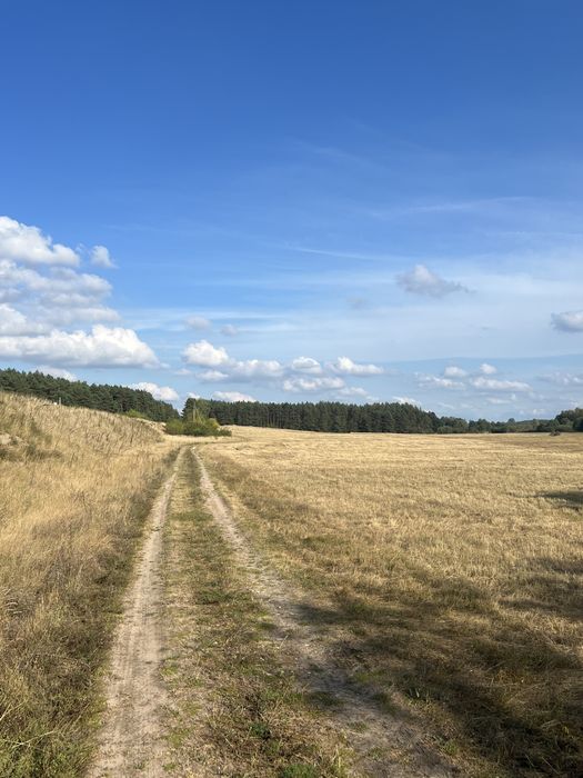 Sprzedam 11 ha grunt rolny, łąka dopłaty KRUS