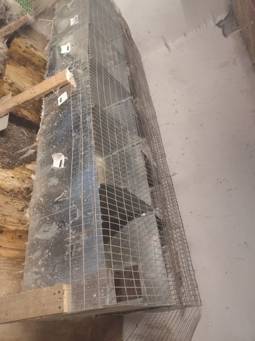 Продаю клітки для кроликів