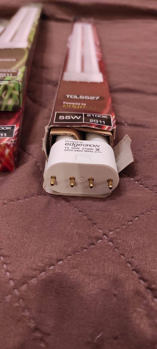 Świetlówki energooszczędne Secret Jardin