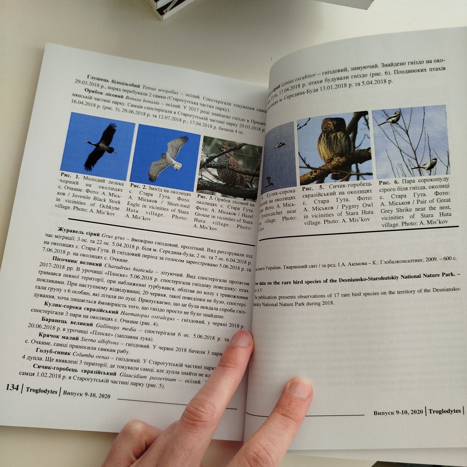 Журнал "Troglodytes" | птахи | книга

Унікальний Український журнал За
