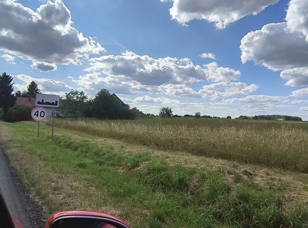 DZIAŁKA DO WYNAJĘCIA – 22 ary – Klępsk k. Sulechowa / przy DW 304