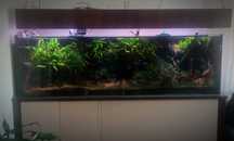 Akwarium 720L+sump