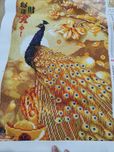 Pintura de Diamante pavão de fortuna 40x60