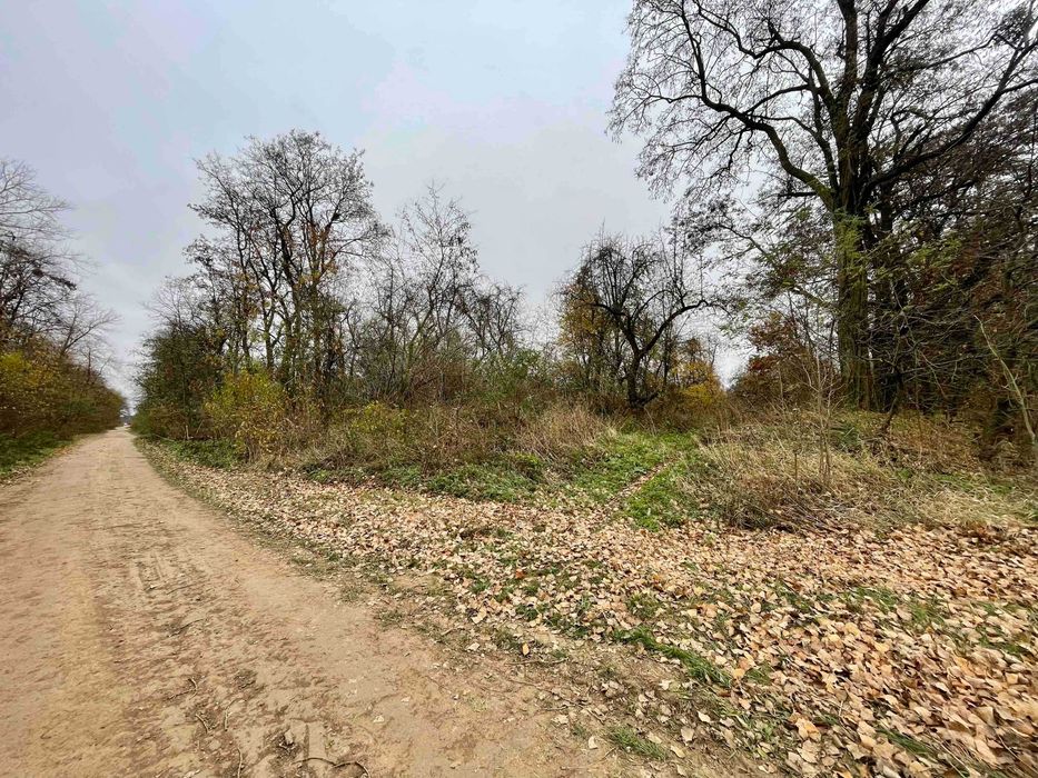 Продається земельна ділянка в с. Іванівка 7811