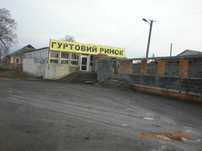Торгове приміщення 205 м2 в м.Галич, вул.Вітовського, 7. 43000$