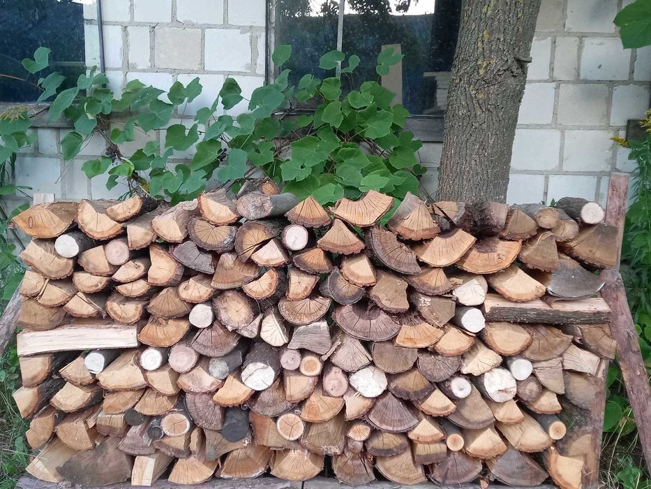 Drewno kominkowe dębowe i grabowe