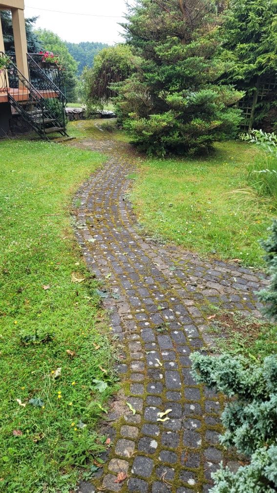 Czyszczenie Kostki Brukowej,Elewacji,Dachow