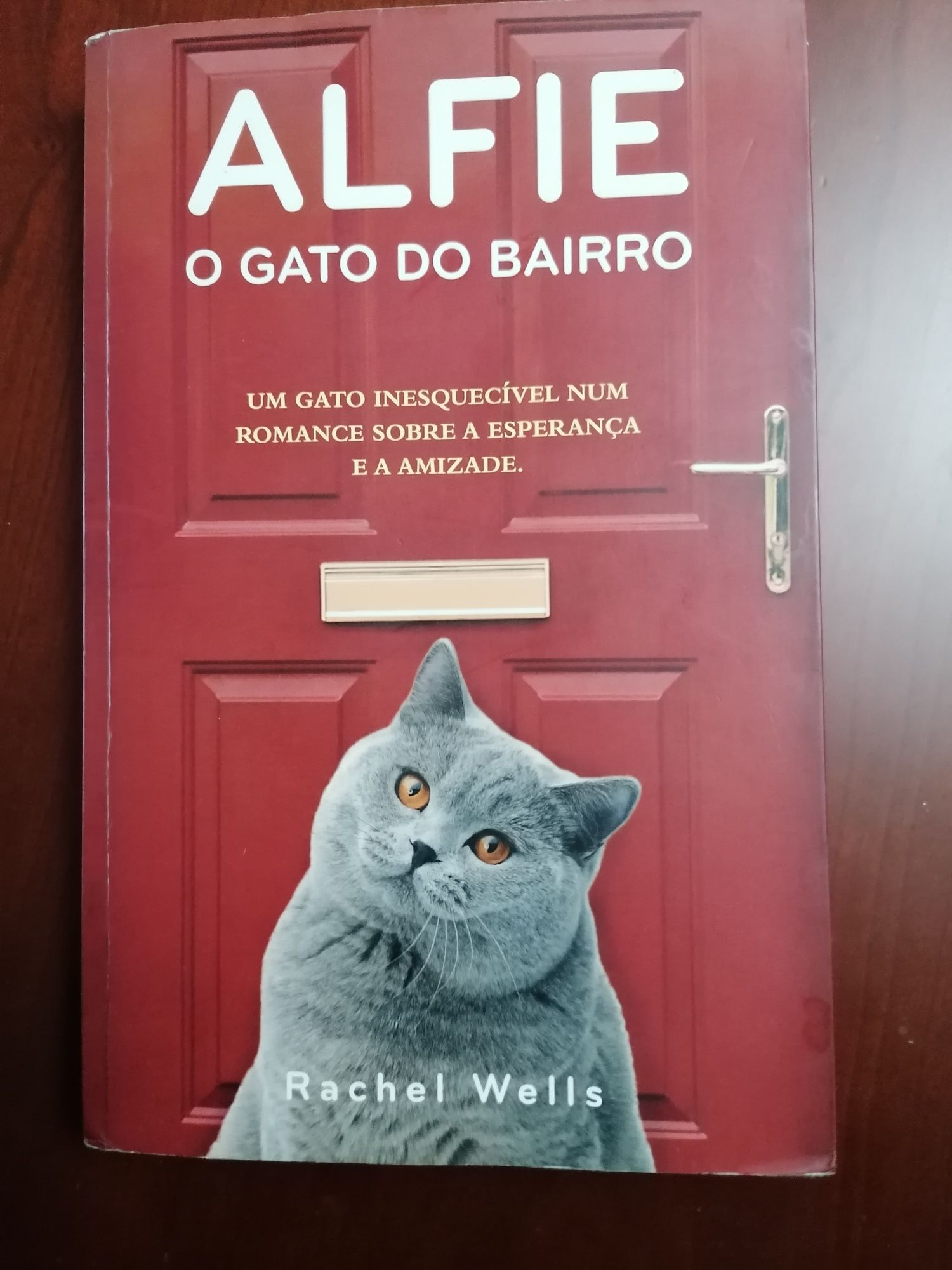 Alfie o Gato do Bairro - Rachel Wells