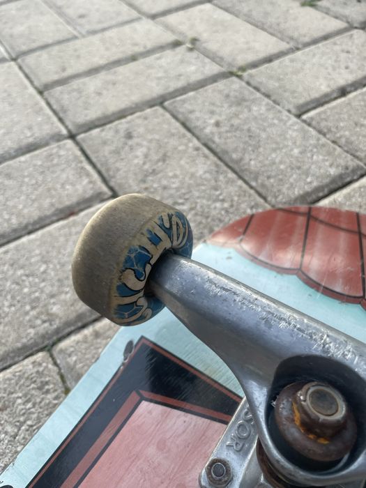 Skate allowsb rosa