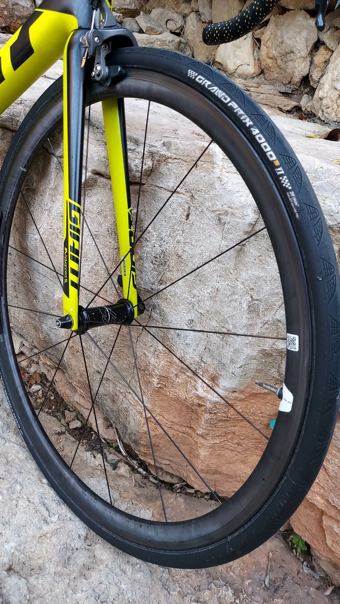 Giant TCR SL t52